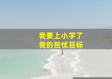 我要上小学了我的担忧目标