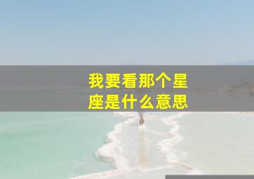 我要看那个星座是什么意思