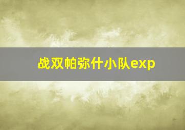 战双帕弥什小队exp