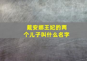 戴安娜王妃的两个儿子叫什么名字