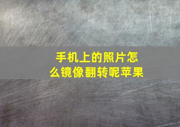 手机上的照片怎么镜像翻转呢苹果