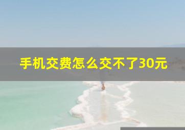 手机交费怎么交不了30元