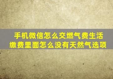 手机微信怎么交燃气费生活缴费里面怎么没有天然气选项