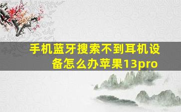 手机蓝牙搜索不到耳机设备怎么办苹果13pro