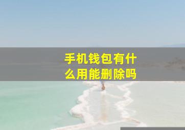 手机钱包有什么用能删除吗