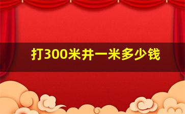 打300米井一米多少钱