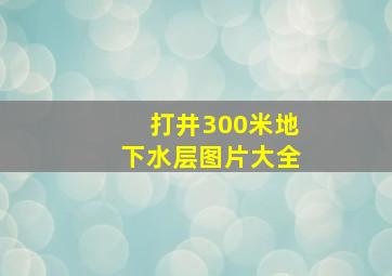 打井300米地下水层图片大全