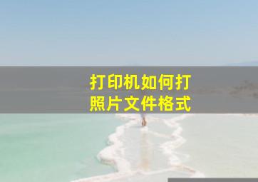 打印机如何打照片文件格式