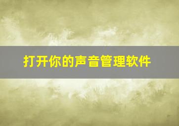 打开你的声音管理软件