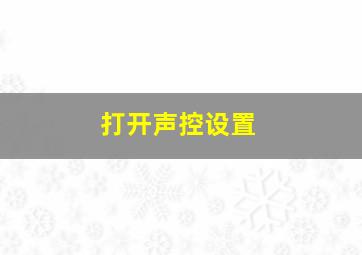 打开声控设置