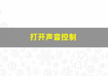 打开声音控制