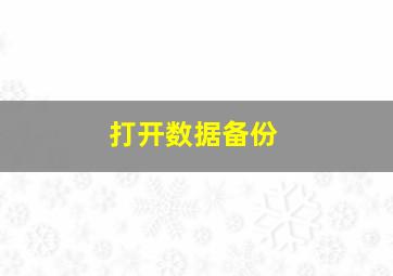 打开数据备份