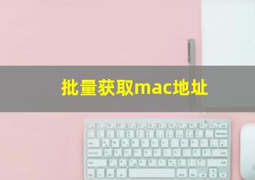 批量获取mac地址