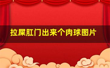 拉屎肛门出来个肉球图片