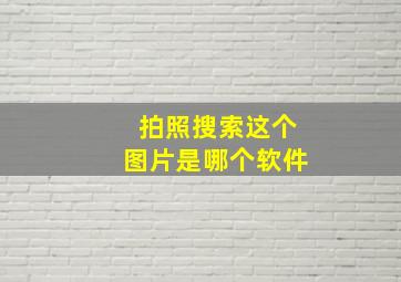 拍照搜索这个图片是哪个软件