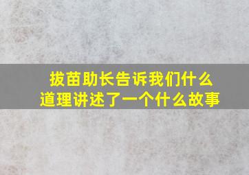 拔苗助长告诉我们什么道理讲述了一个什么故事