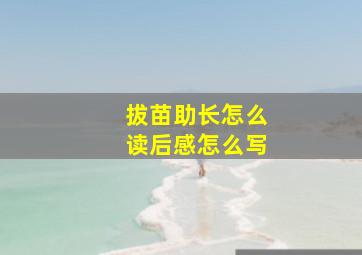 拔苗助长怎么读后感怎么写