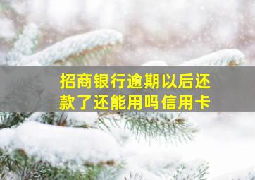 招商银行逾期以后还款了还能用吗信用卡