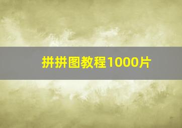 拼拼图教程1000片