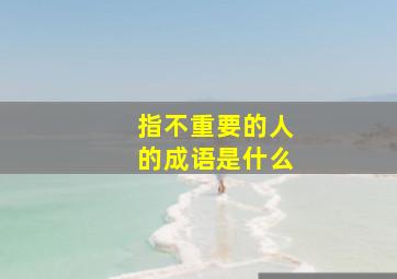 指不重要的人的成语是什么