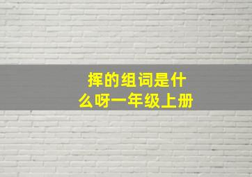 挥的组词是什么呀一年级上册