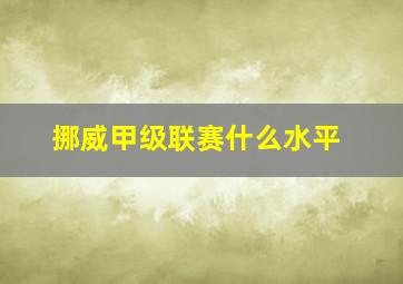 挪威甲级联赛什么水平