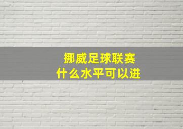 挪威足球联赛什么水平可以进