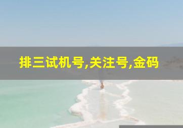 排三试机号,关注号,金码