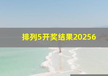 排列5开奖结果20256