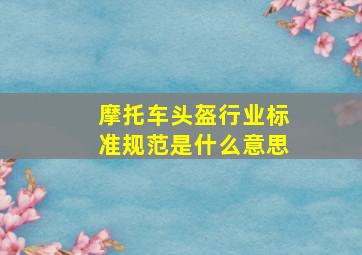 摩托车头盔行业标准规范是什么意思