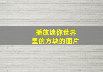 播放迷你世界里的方块的图片