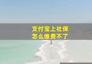 支付宝上社保怎么缴费不了