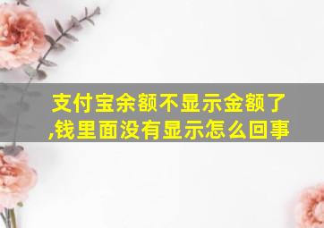 支付宝余额不显示金额了,钱里面没有显示怎么回事