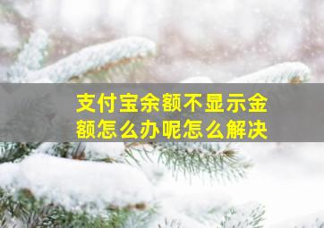 支付宝余额不显示金额怎么办呢怎么解决