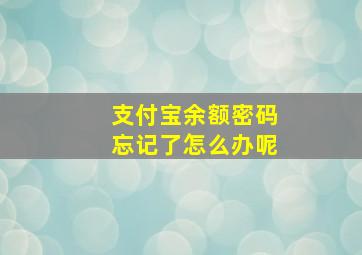 支付宝余额密码忘记了怎么办呢