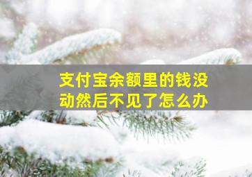 支付宝余额里的钱没动然后不见了怎么办