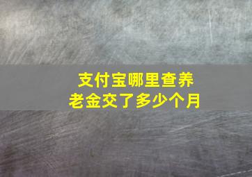 支付宝哪里查养老金交了多少个月