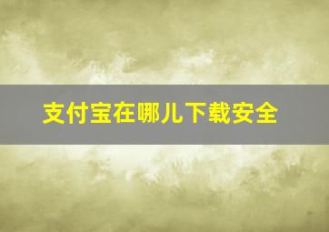 支付宝在哪儿下载安全