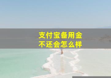 支付宝备用金不还会怎么样