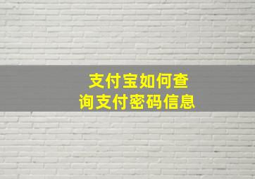 支付宝如何查询支付密码信息