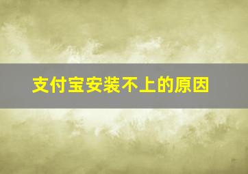 支付宝安装不上的原因