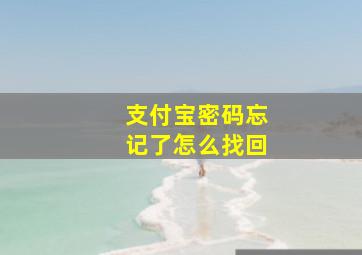 支付宝密码忘记了怎么找回