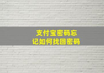 支付宝密码忘记如何找回密码