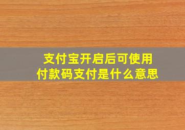 支付宝开启后可使用付款码支付是什么意思