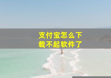 支付宝怎么下载不起软件了