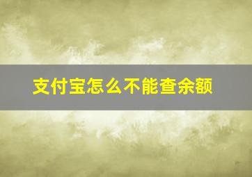 支付宝怎么不能查余额