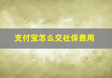 支付宝怎么交社保费用