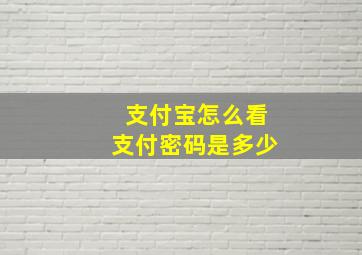 支付宝怎么看支付密码是多少