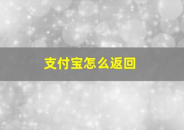 支付宝怎么返回