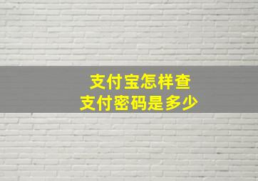 支付宝怎样查支付密码是多少